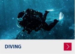 Diving Equipment - Boat outboard motor