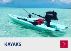 Kayak motor